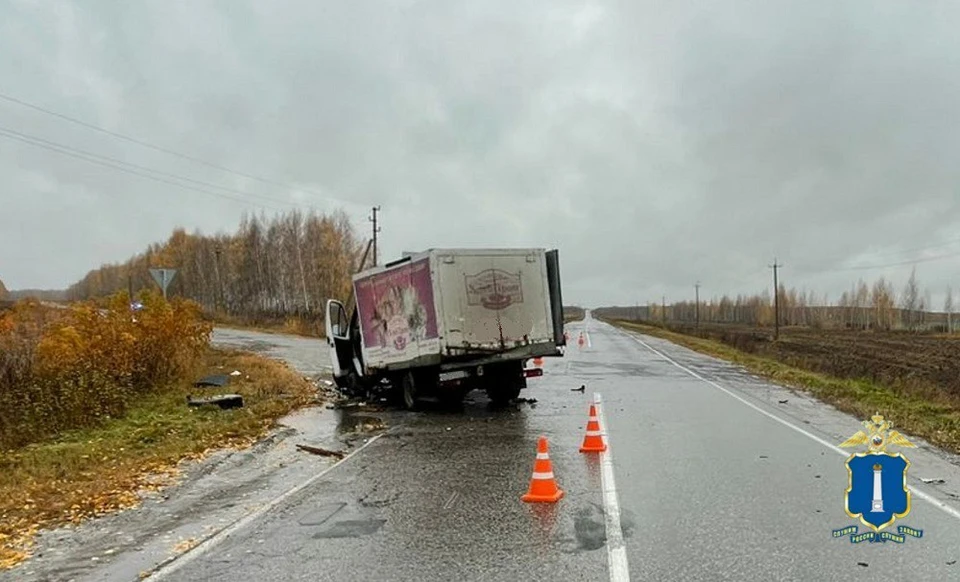 В ДТП на трассе «Саранск – Сурское – Ульяновск – Зеленая Роща» пострадали два человека. Фото Госавтоинспекция УО