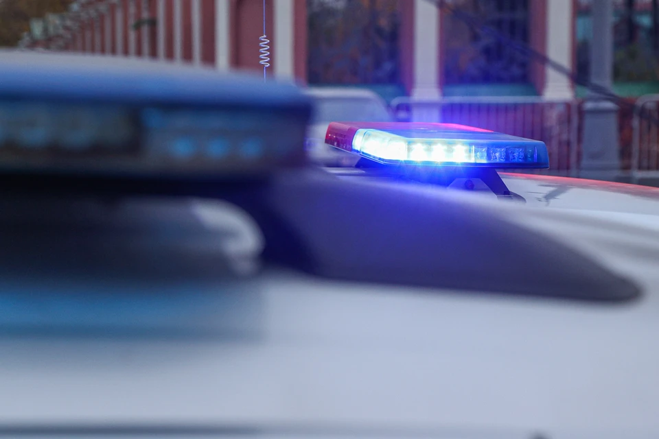 Музей Дени Дидро во Франции ограбили вскоре после кражи в Лувре