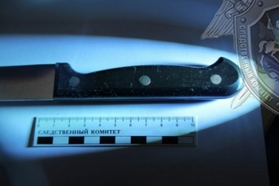 Фото: пресс-служба СУ СК России по Костромской области