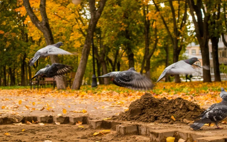 Еще один отличный день! Фото: Данил Иванов