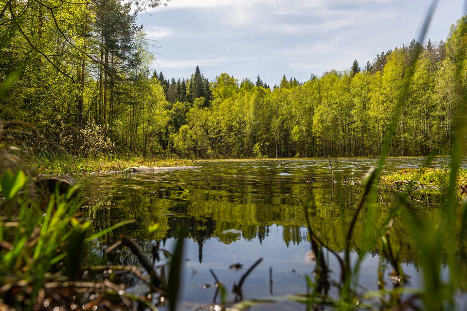 На загрязнение реки жаловались местные жители.