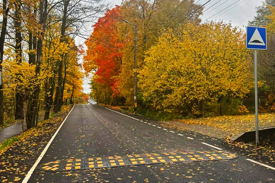 Два проспекта отремонтировали в Красносельском районе. Фото: www.gov.spb.ru