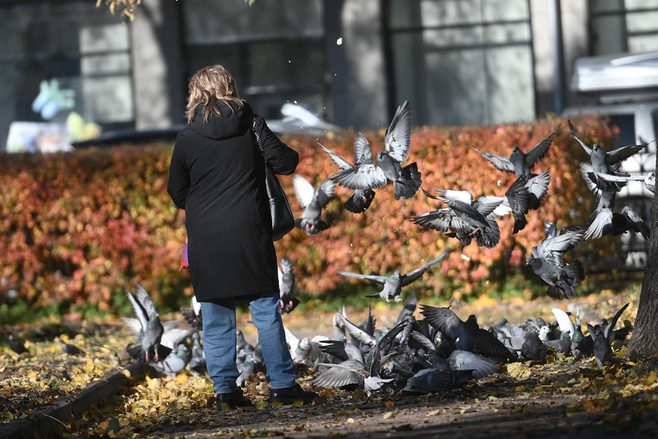 Синоптики сообщили прогноз на 24-26 октября.