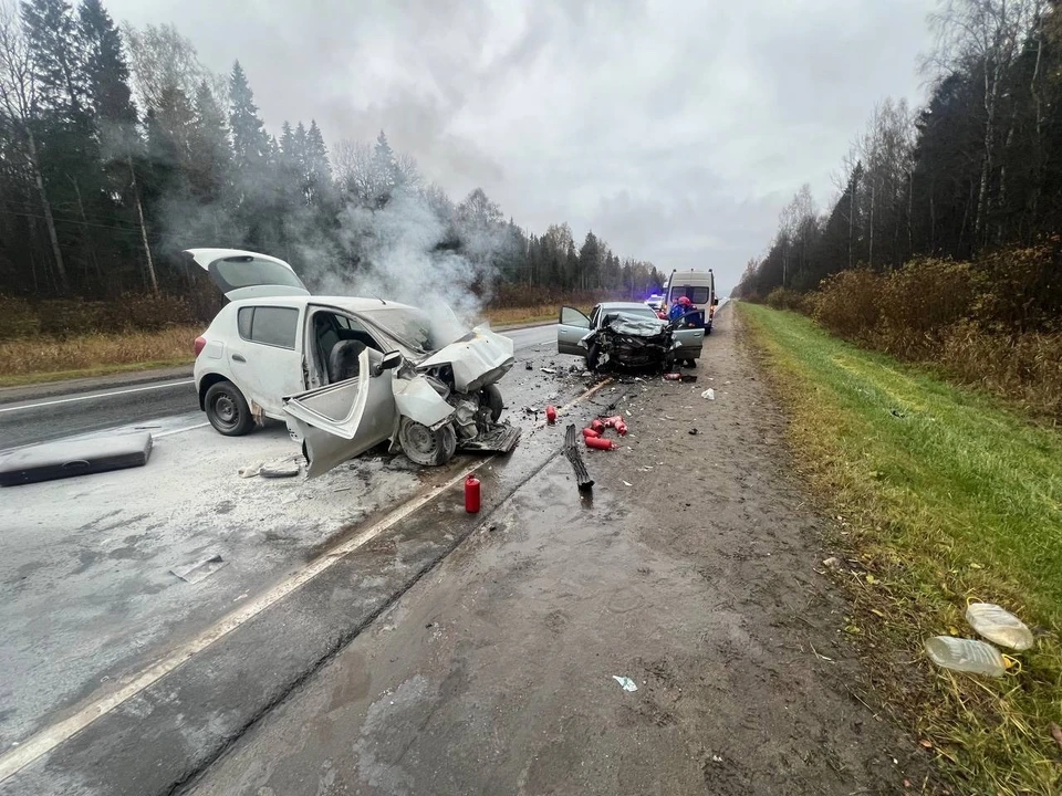 Фото предоставлено читателем портала "КП в Костроме"
