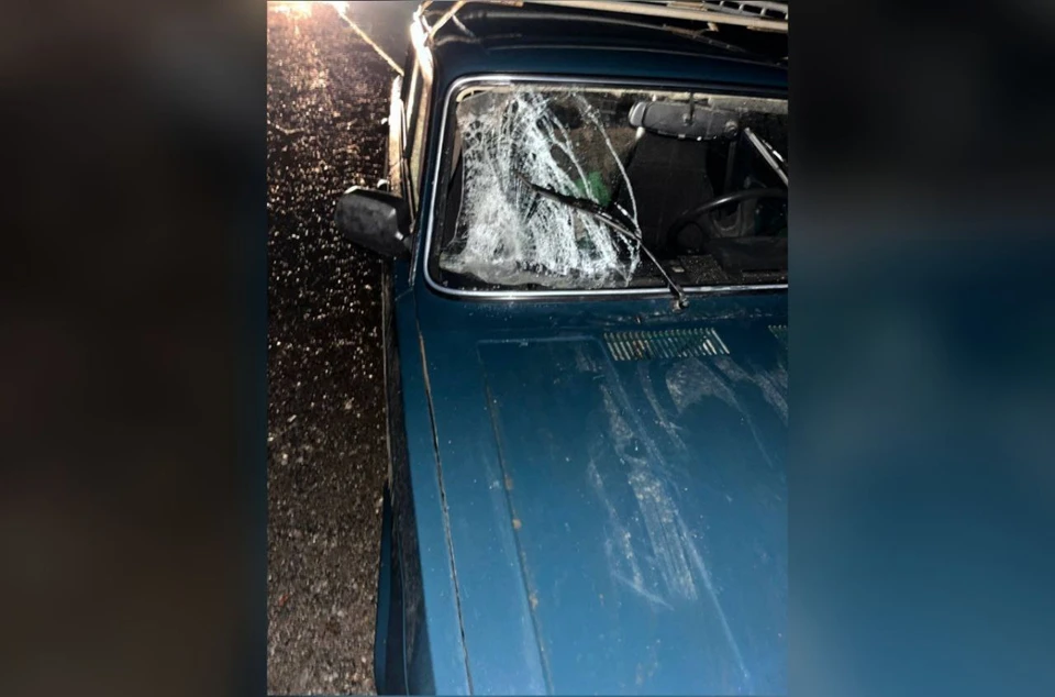 Пострадавшую госпитализировали в реанимационное отделение. Фото: Госавтоинспекия Удмуртии