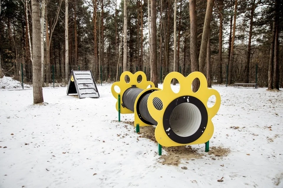 Фото: администрация Сургута