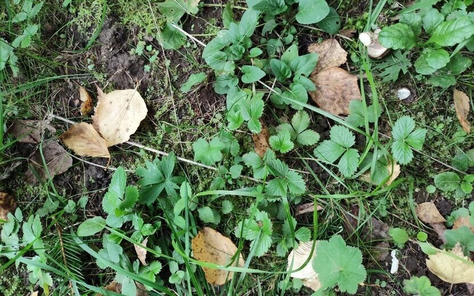 Хорошего дня! Фото: Таня Трушкова