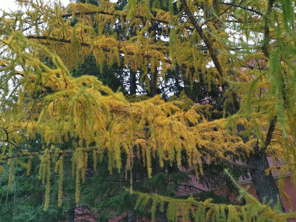 Фото: Людмила Ковалева