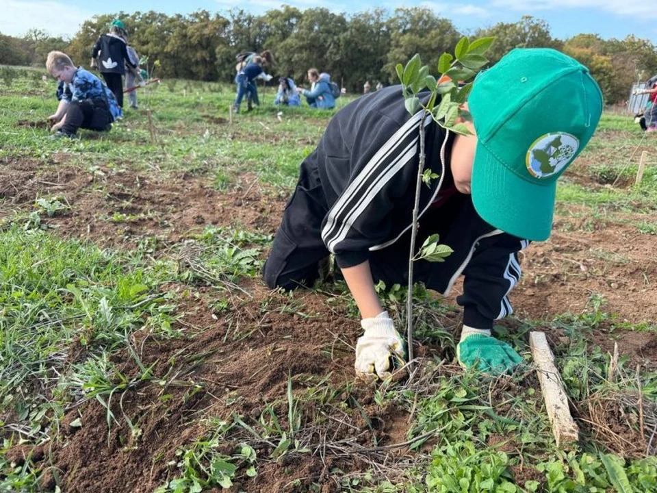 Любовь к природе прививается с детства. Фото: sev.gov.ru