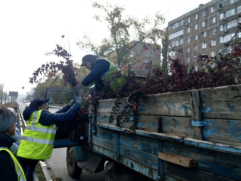 Фото: Администрация Энгельсского района