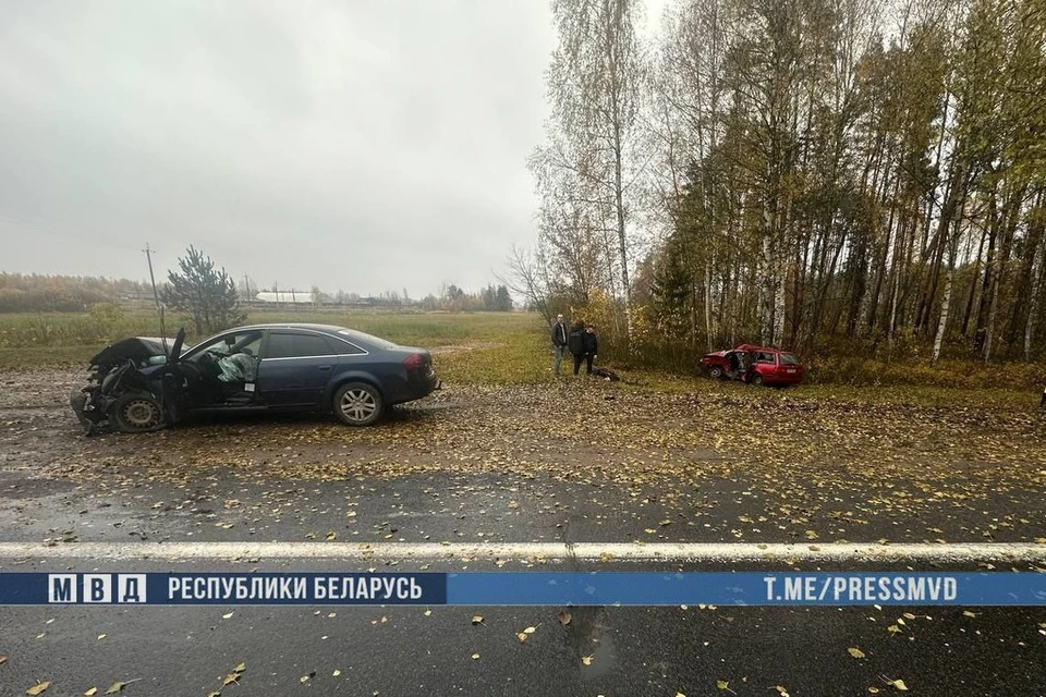 МВД сообщило про ДТП с двумя погибшими под Лепелем. Фото: телеграм-канал МВД Беларуси