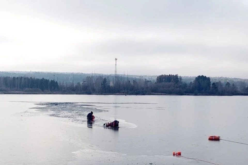 Фото: КГКУ "Спасатель"