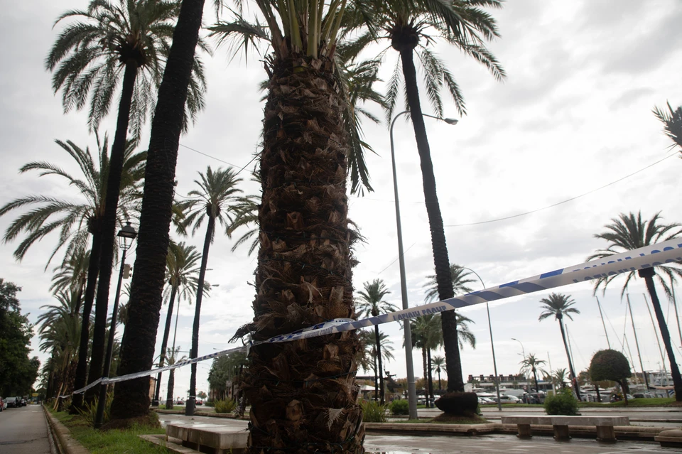 Ураган «Мелисса» усилился до третьей категории