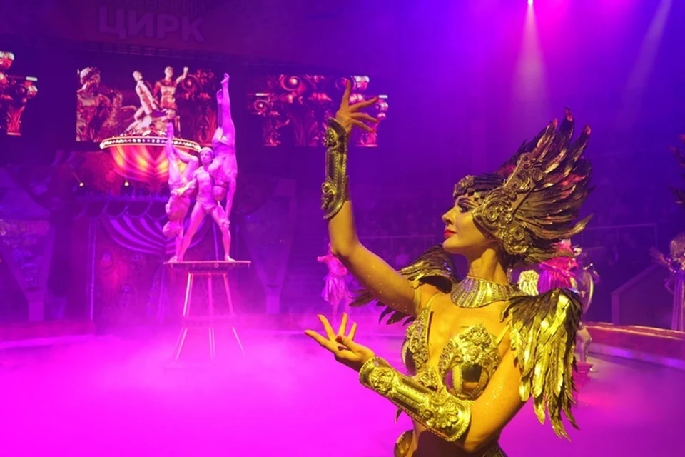 Программа собрана из лучших номеров «Королевского цирка Гии Эрадзе». Фото: Министерство культуры ЛНР