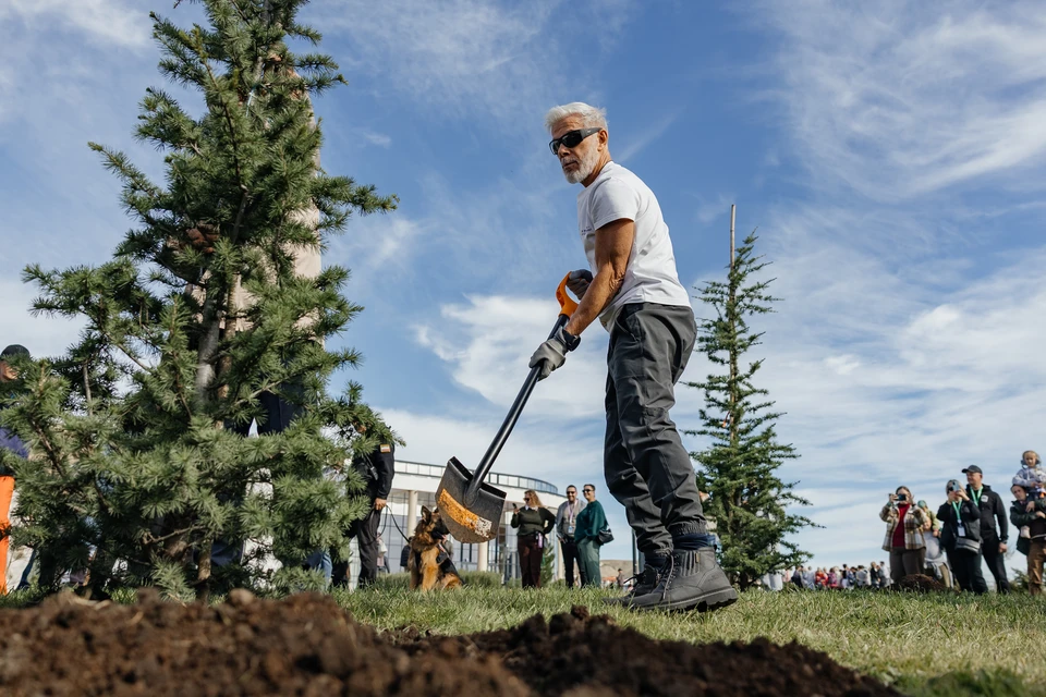 Олег Газманов посадил ливанский кедр. Фото: пресс-служба арт-кластера "Таврида"