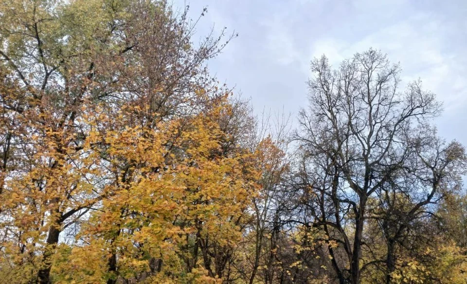 Калужан ждёт дождливая погода