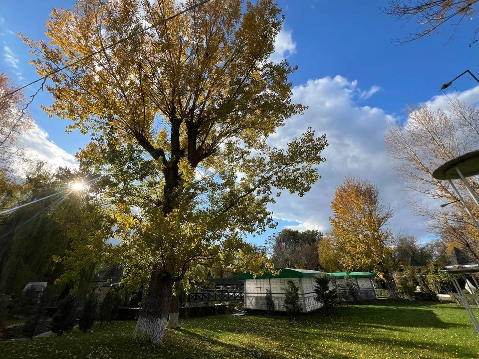 Осадки в этот день маловероятны