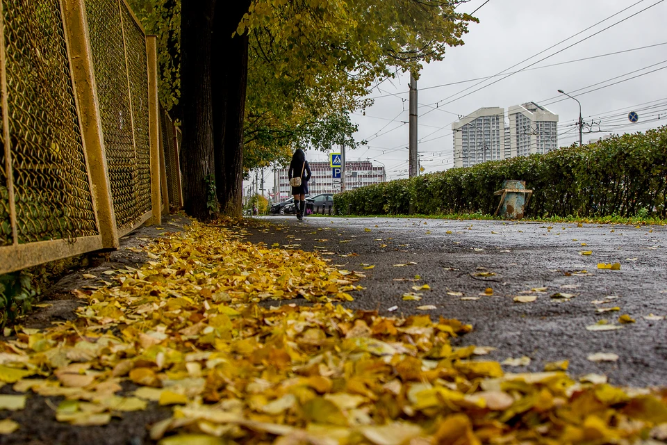 В Пермском крае последняя неделя октября будет аномально теплой