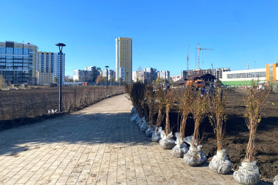 Сейчас в парках занимаются озеленением