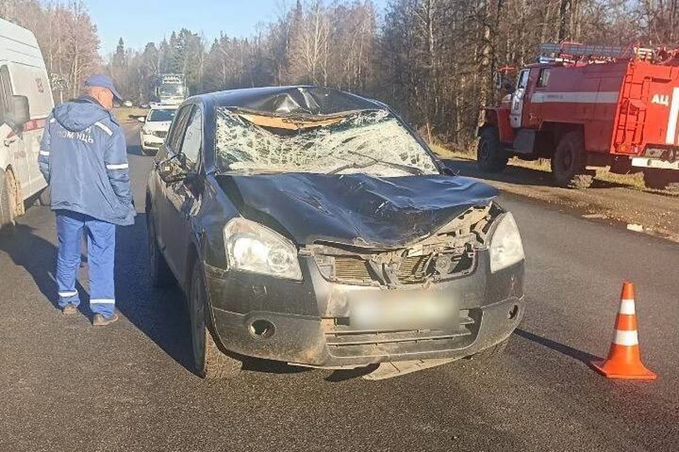 Водитель и пассажиры не пострадали. Фото: Госавтоинспекция Удмуртии
