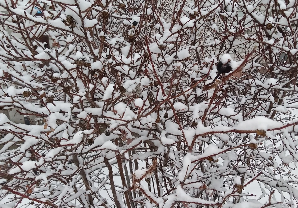 Погода на Ямале на 28 октября