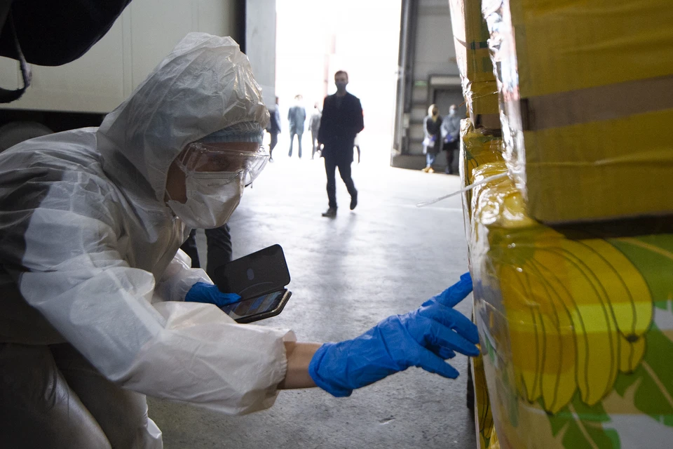 Сотрудники Россельхознадзора.