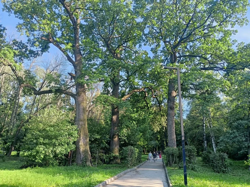 В рязанском ЦПКиО пройдут работы по благоустройству за 260 млн рублей.