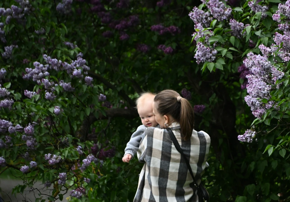 В Коми поддерживают родителей первенцев.