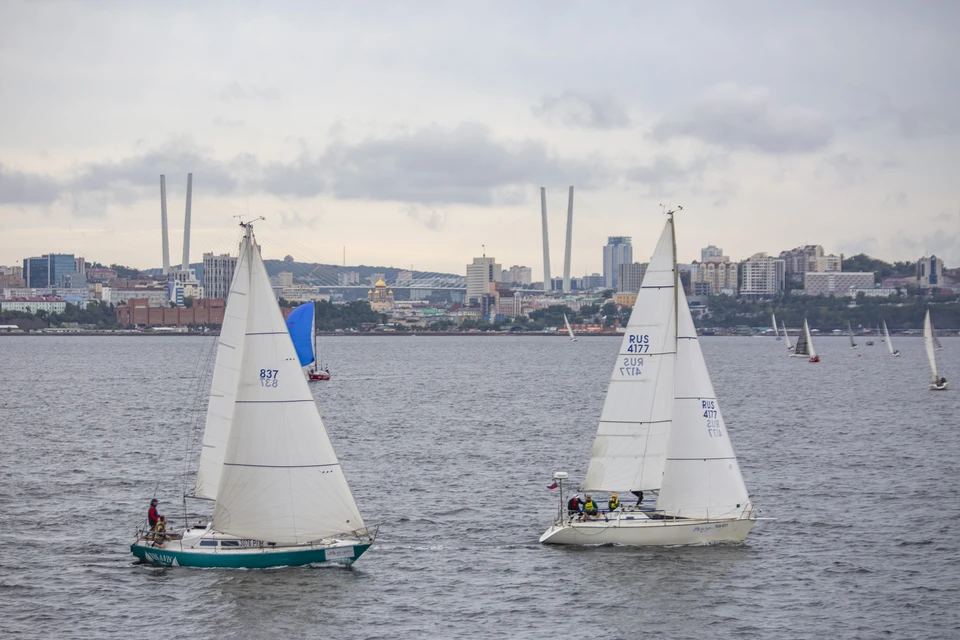 После 15 ноября на нарушителей запрета могут наложить штраф.