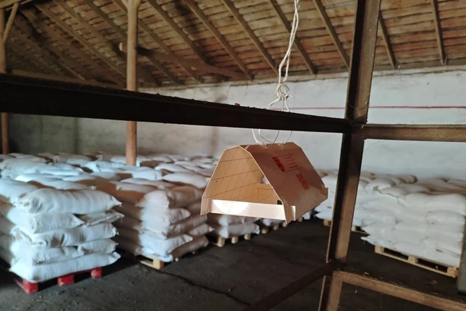 На Ясиноватском агрокомбинате установили феромонные ловушки от насекомых. Фото: «Донецкий» филиал Россельхозцентра