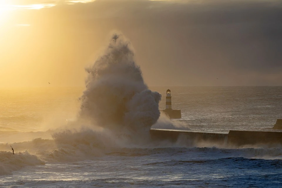 На Ямайке уже поднялся сильный ветер, достигающий 280 км/ч