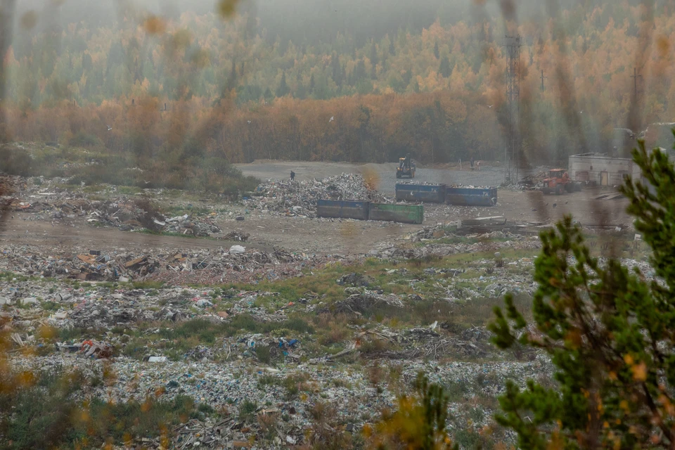 Незаконная свалка площадью 2000 кв.м ликвидирована в Кировской области.