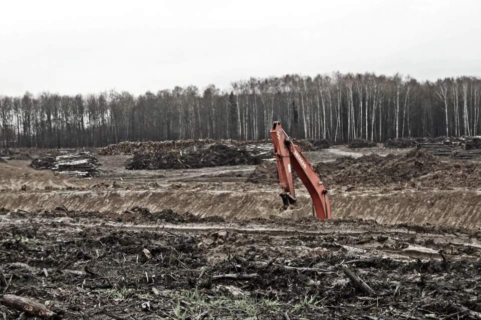 фото из телеграм-канала Александра Авдеева