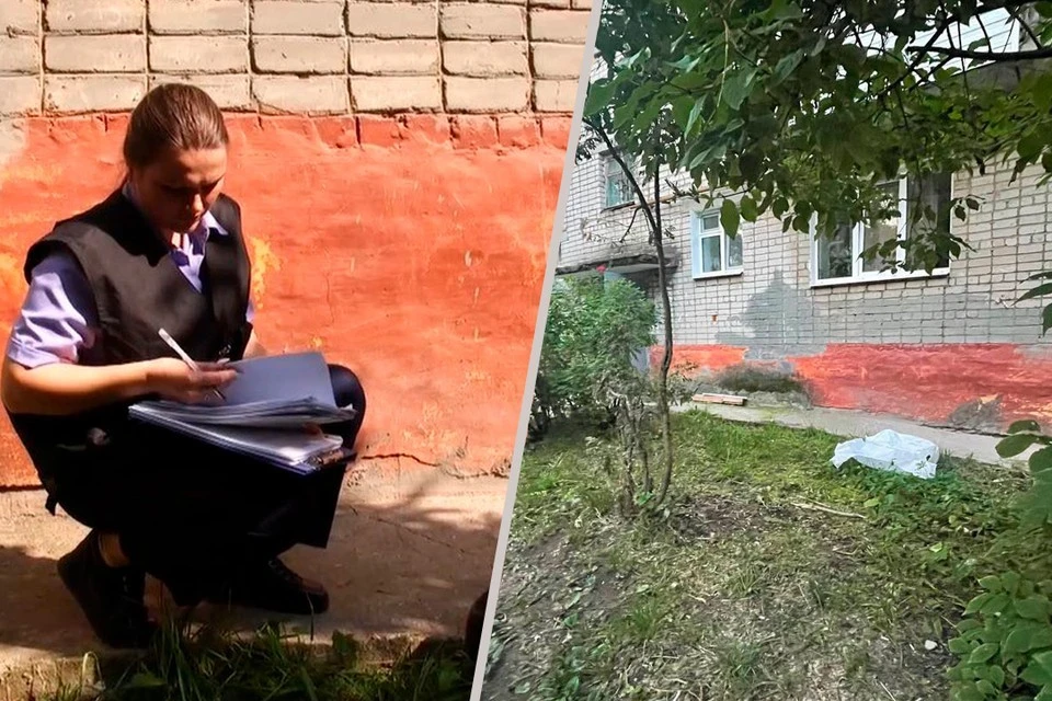 Фото: СУ СКР по Пермском краю/Прокуратура Пермского края