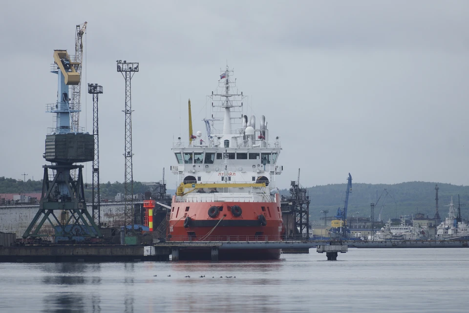 Экономист Арапова указала на риск продажи активов компаний РФ в ЕС из-за санкций