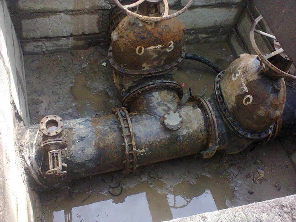 Фото: администрация Костромы