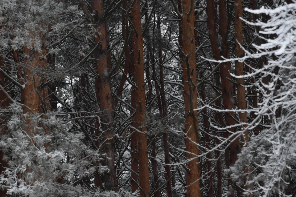 В Якутии 30 октября ожидается морозная погода без осадков