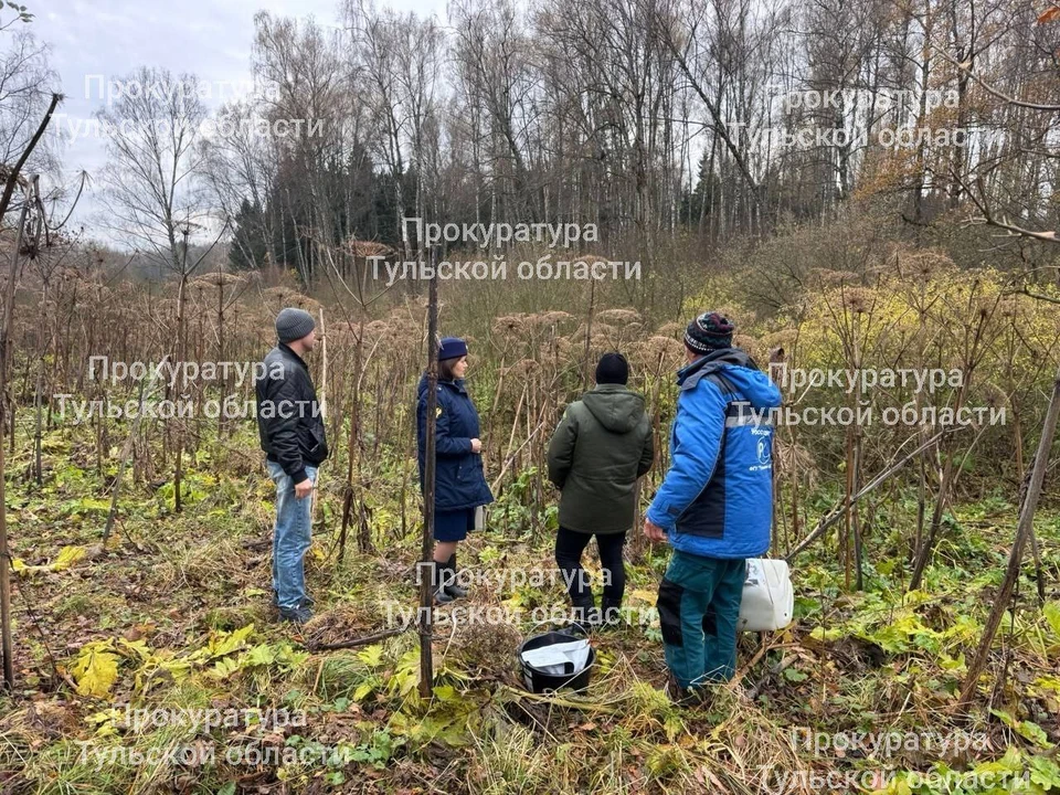 Проверку из-за сброса опасных стоков в реку начали в Заокском районе Тульской области