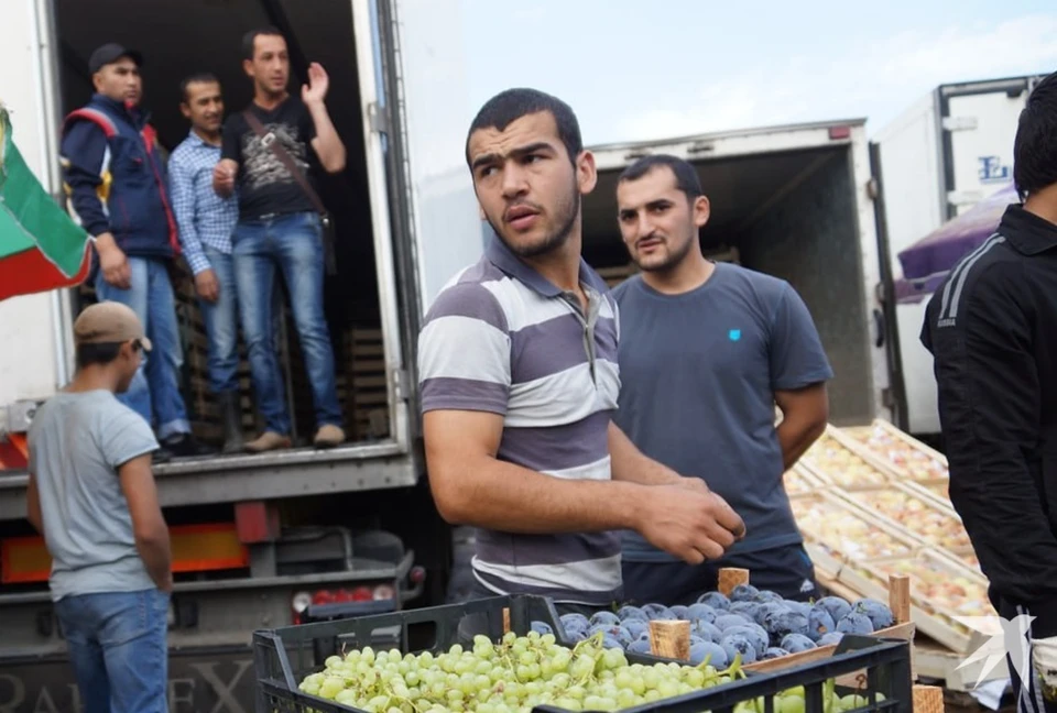 В Екатеринбурге 36 нелегальных мигрантов отправят на родину