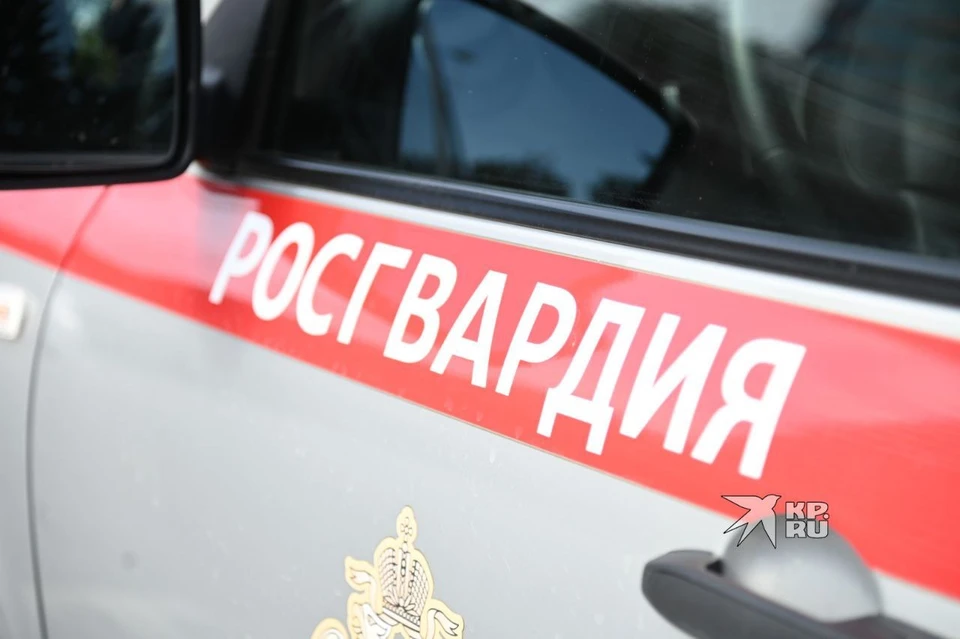 Двое грабителей вынесли из маркетплейса рабочий ноутбук