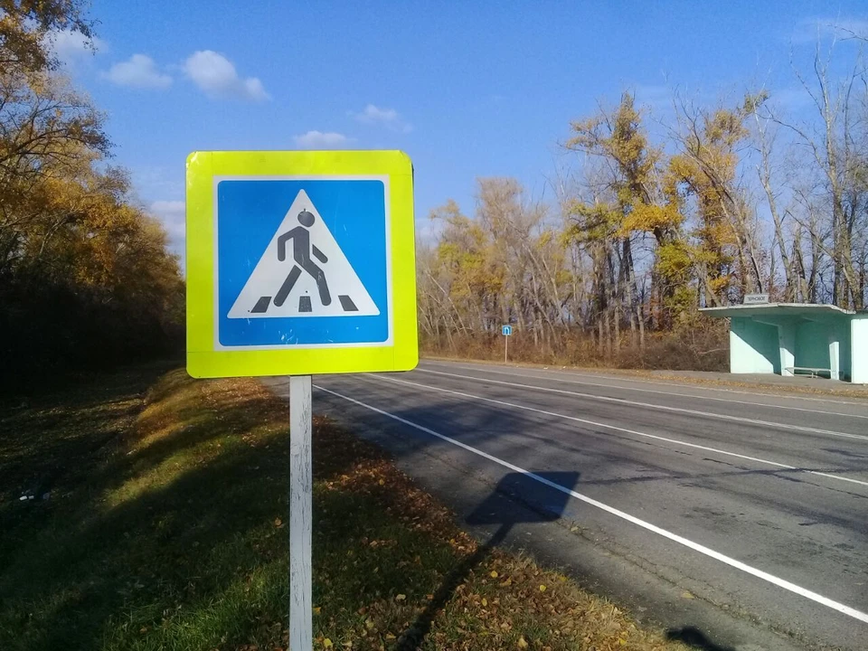 101 пешеход перешел дорогу в неустановленном месте. А им в свою очередь не предоставили преимущество 59 водителей.