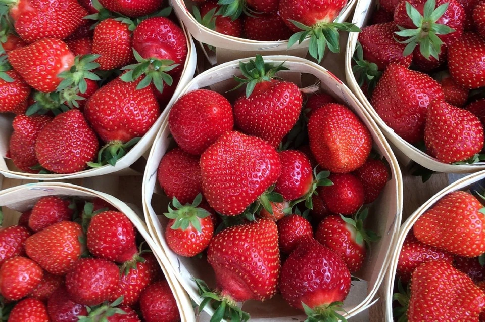 Фото: МинИнформ 64 Z