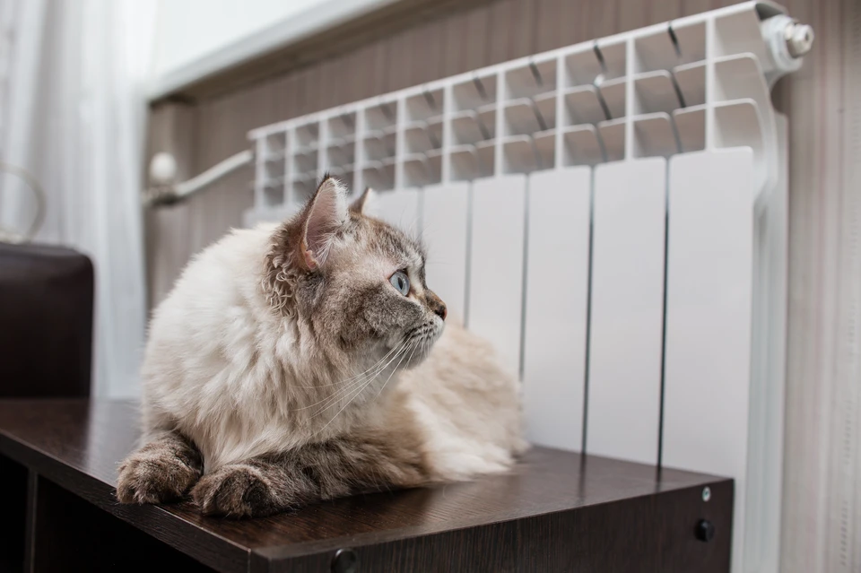 Отопление есть в 181-м доме в городе