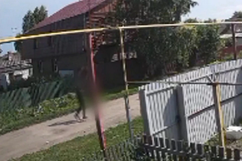 Житель города Болотное сбросил собаку с моста на железнодорожные пути. Фото: кадр из видео Управления на транспорте МВД России по СФО
