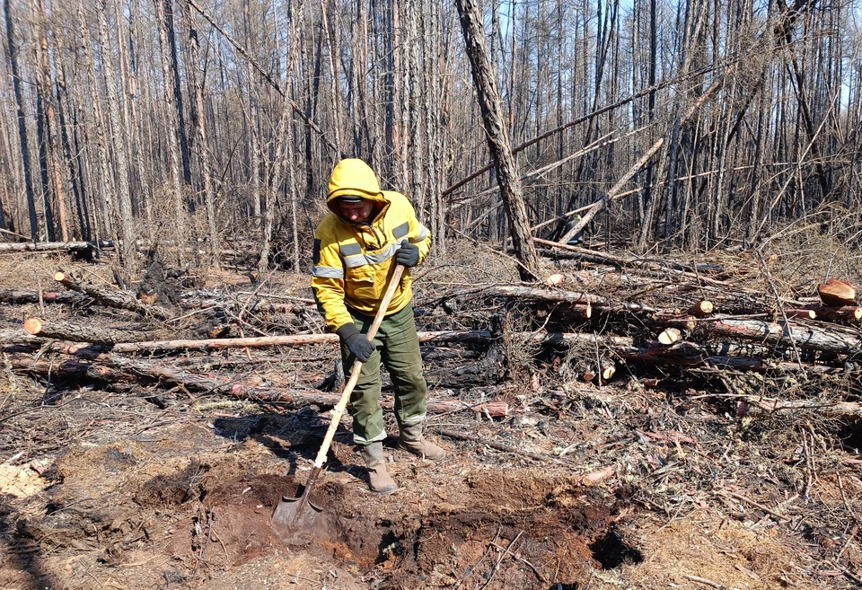 Помощь волонтеров неоценима в борьбе с возгораниями на начальном этапе.