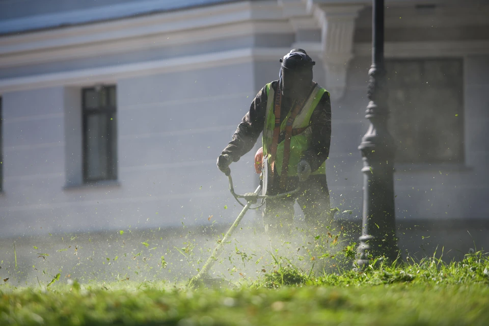 Карантин снимут в том случае, если повилика не появится на территории в течение трех лет