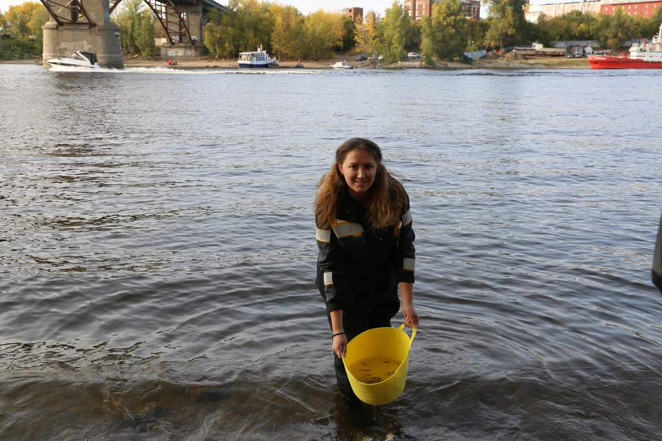 Сазаны помогают реке очищаться от водорослей. Фото АО «КНПЗ»