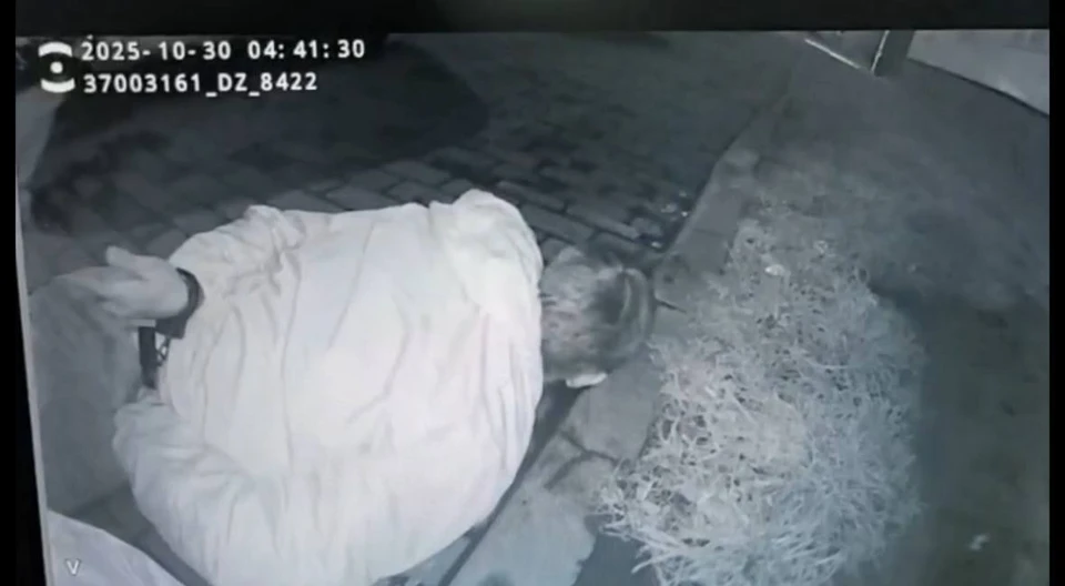 В Новосибирске задержали 24-летнего мужчину, ночью забравшегося в магазин. Фото: пресс-служба Росгвардии по Новосибирской области