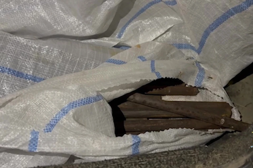 Фото: ГУ МВД по Челябинской области