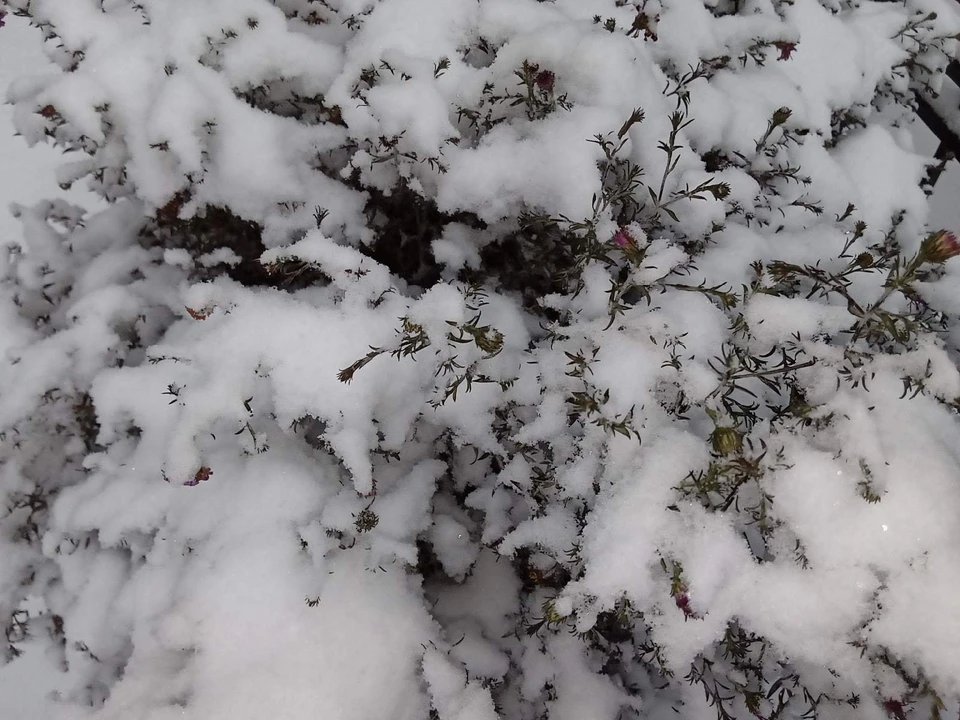 Погода на Ямале на 31 октября